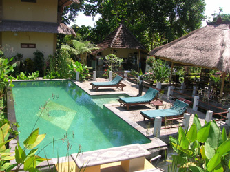 Spring Water Swimming Pool Villa Manuk