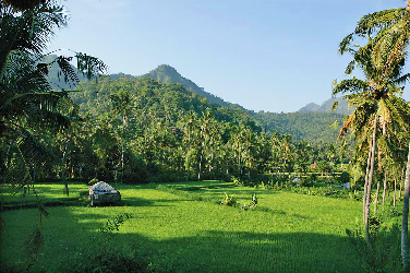 View from Villa Manuk